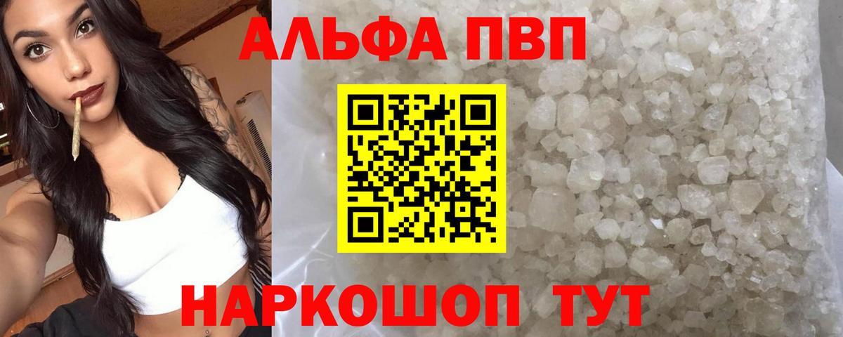 A-PVP СК Армавир