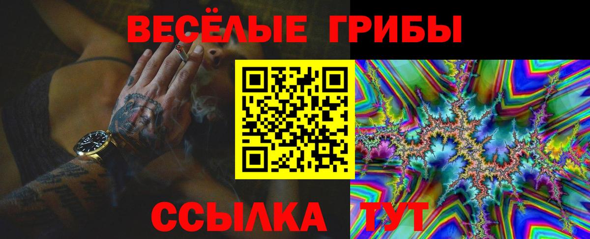 Армавир  купить наркоту  Вход с VPN  Галлюциногенные грибы ЛСД  Псилоцибиновые грибы Magic Shrooms 