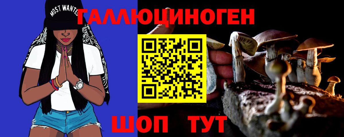 Псилоцибиновые грибы мицелий Армавир